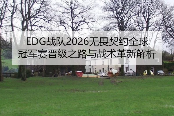 EDG战队2026无畏契约全球冠军赛晋级之路与战术革新解析